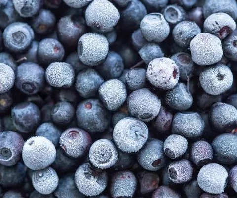 Blueberry